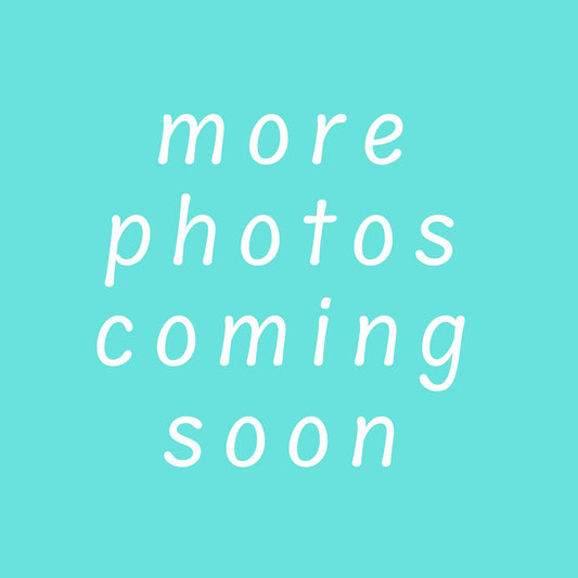 Black Butterfly and Flowers Bandana