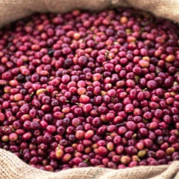 Ethiopia, Yirga, Cheffe Halo Beriti